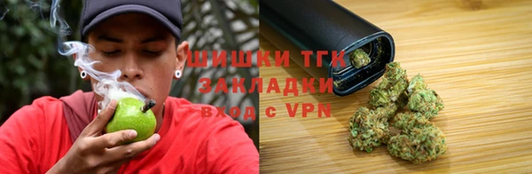 прущие грибы Алексин