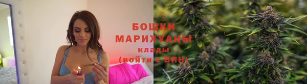 прущие грибы Алексин