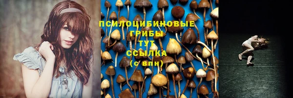 марки nbome Алзамай