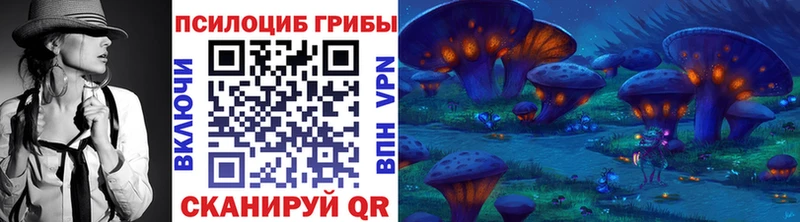 купить наркотики цена  Анива  Галлюциногенные грибы Psilocybe 